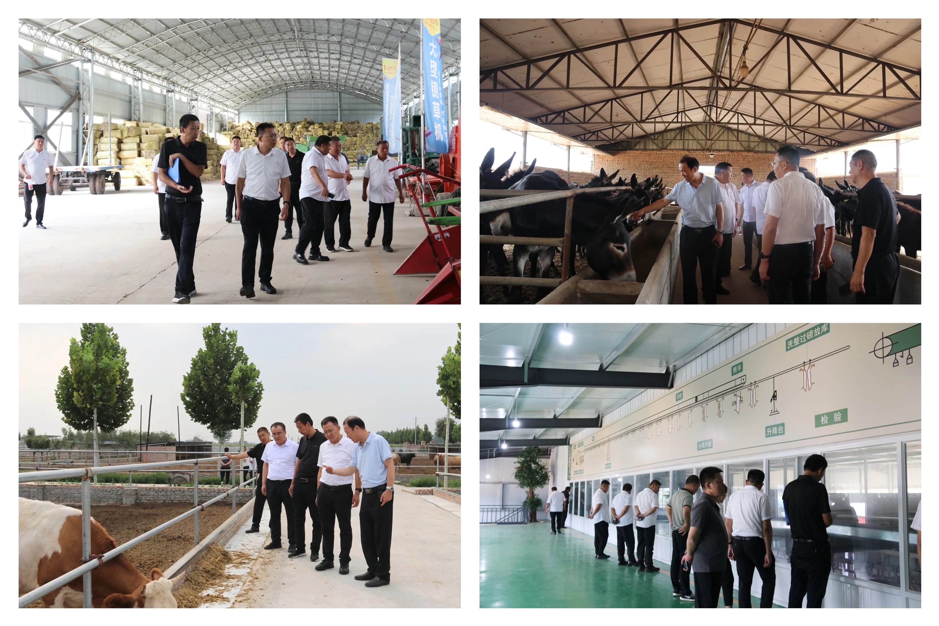 c7aa77a1b9cfbe2ed686952e7f4dcbdb