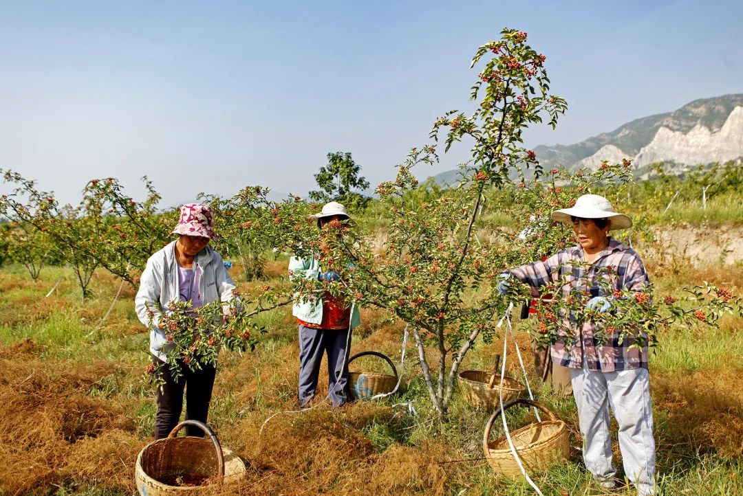 94be1a2cdf1b01b17c8febf7163a83fe