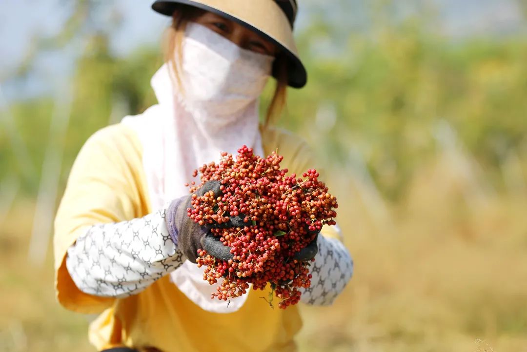 1ee04ce88007608b673d254e5e1430b3