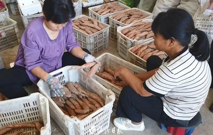 9600f84296d199b882f3af9473dac3c9