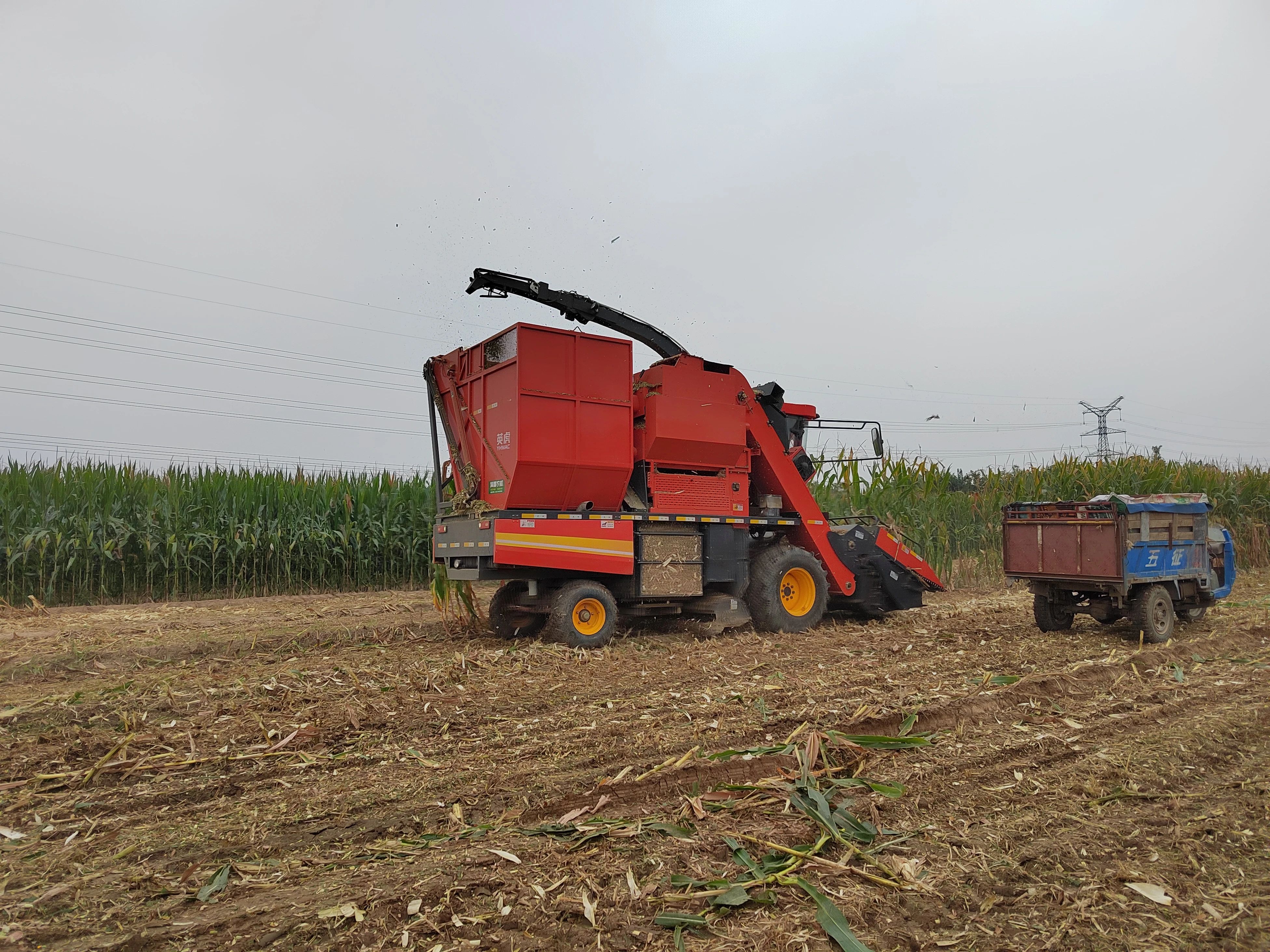 4f2f895866a39918a50fbc65e52b9ff6